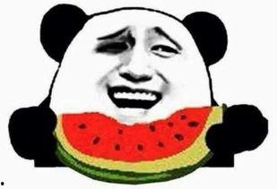 娱乐圈吃瓜群众免费吃瓜